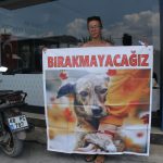 sokak hayvanlarının öldürülmesine yönelik yasa teklifine