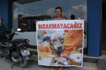 sokak hayvanlarının öldürülmesine yönelik yasa teklifine