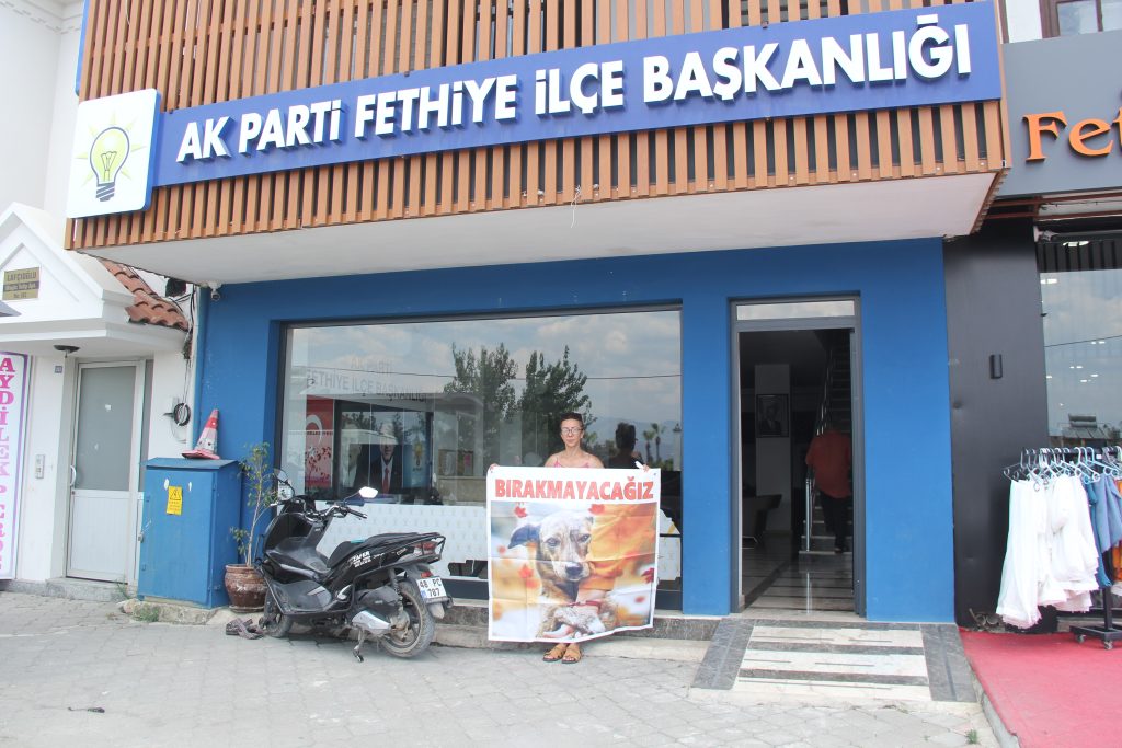 sokak hayvanlarının öldürülmesine yönelik yasa teklifine