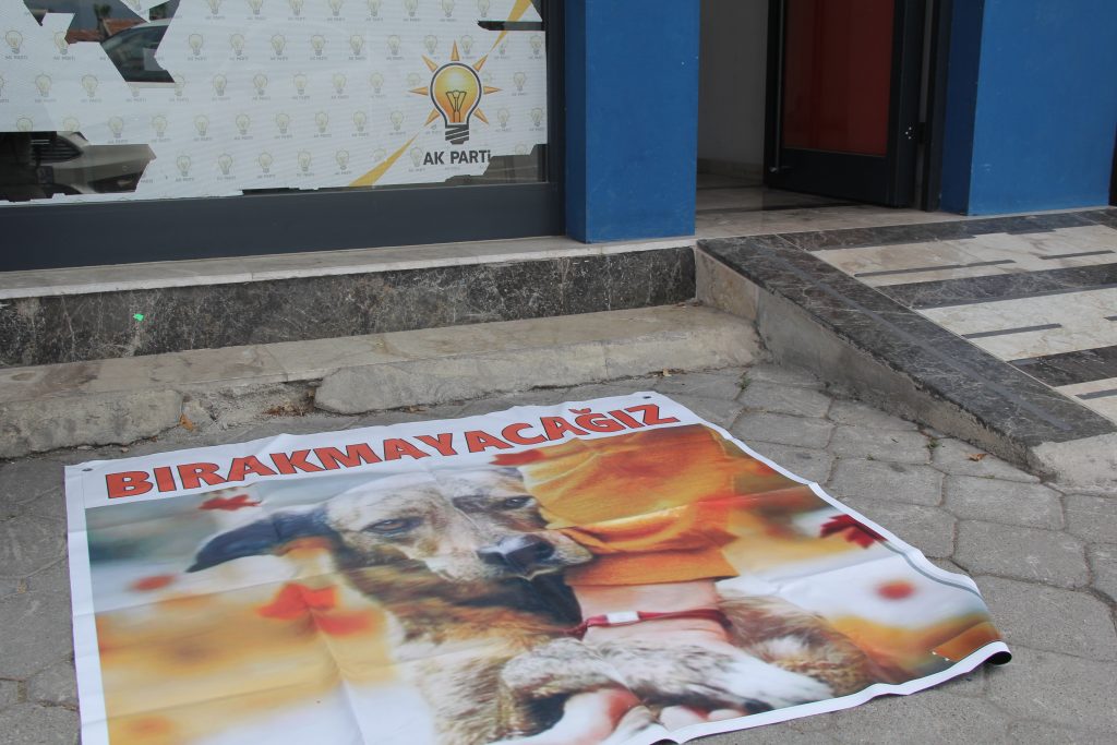 sokak hayvanlarının öldürülmesine yönelik yasa teklifine