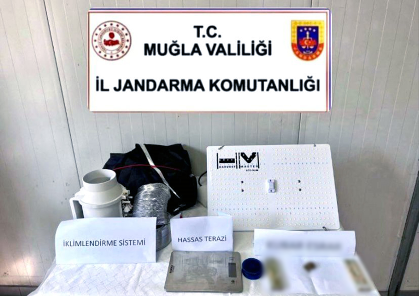 kenevir yetiştirilen, kenevir yetiştirdiği
