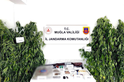 uyuşturucu operasyonu, uyuşturucuya