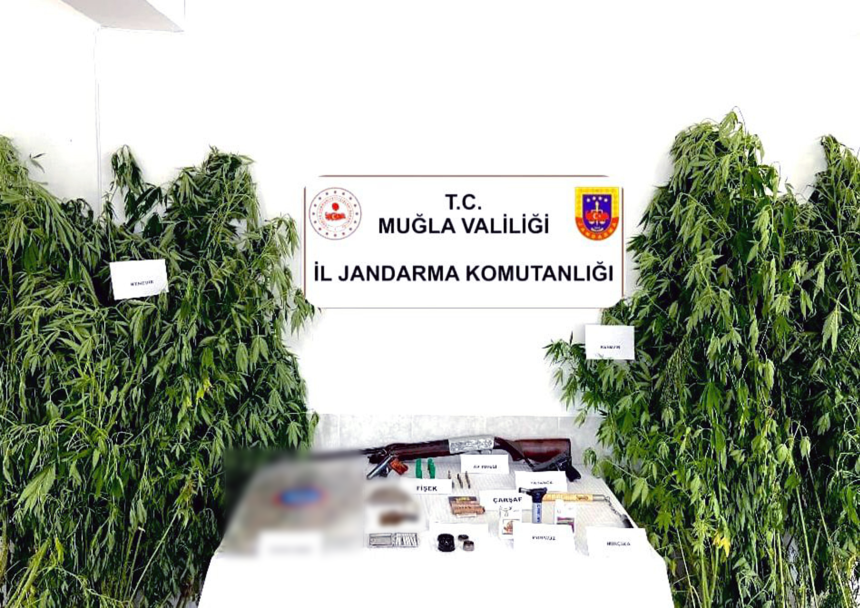 uyuşturucu operasyonu, uyuşturucuya