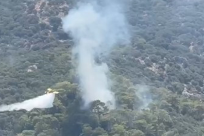 ortaca orman yangını ortaca yangın ortaca Ortaca Aşı Koyu orman yangını