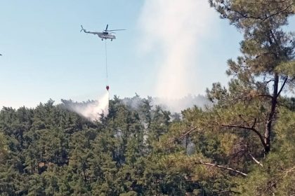Menteşe’de çıkan orman yangını, orman yangını