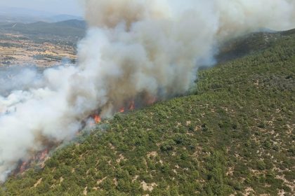 Bodrum'da çıkan orman yangınına, Pınarbelen Mahallesi’nde çıkan orman yangınına