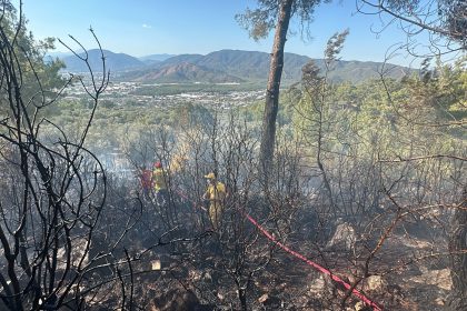 Fethiye’de zeytinlikte çıkıp ormana sıçrayan yangın, yangın