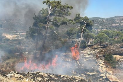 Kavaklıdere’de çıkan orman yangını, Dedeler Mahallesi’nde çıkan orman yangınına