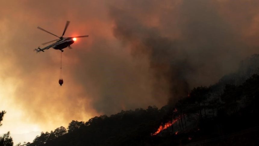 Muğla’da yangın çıktı, Muğla Orman Bölge Müdürlüğü