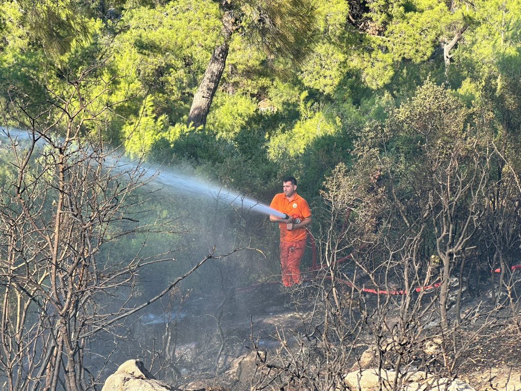 Fethiye’de zeytinlikte çıkıp ormana sıçrayan yangın, yangın