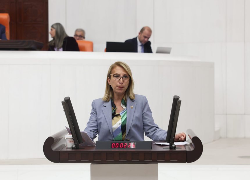 CHP Muğla Milletvekili Süreyya Öneş Derici CHP’li Derici Leijdekkers