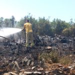 menteşe yangın Mabolla Antik Kenti menteşe çalılık yangını yangın kontrol altına alındı
