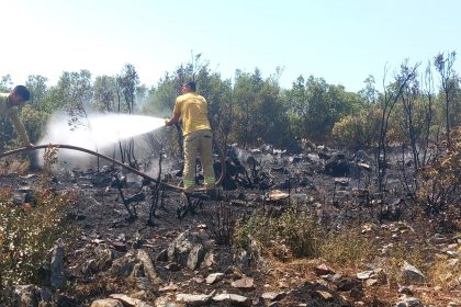 menteşe yangın Mabolla Antik Kenti menteşe çalılık yangını yangın kontrol altına alındı