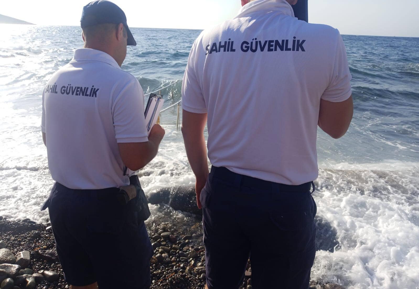 Bodrum’da sahile vuran Akdeniz Foku hayatını kaybetti