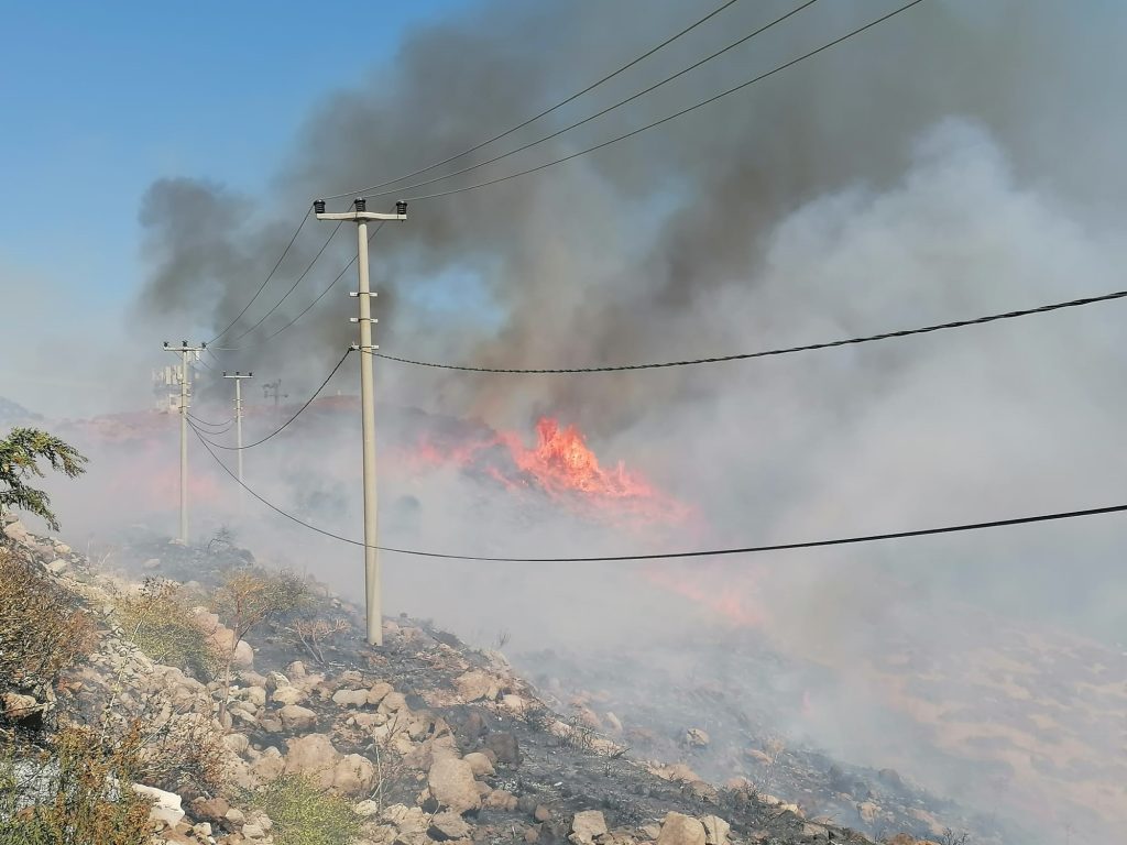 makilik yangını Akyarlar yangını bodrum yangın Bodrum Akyarlar yangın