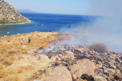 makilik yangını Akyarlar yangını bodrum yangın Bodrum Akyarlar yangın