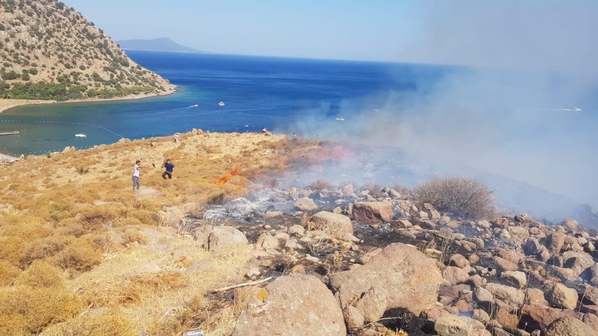 makilik yangını Akyarlar yangını bodrum yangın Bodrum Akyarlar yangın