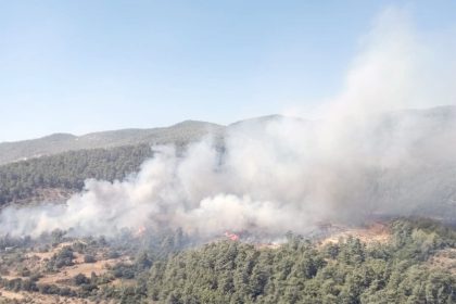 milas orman yangını