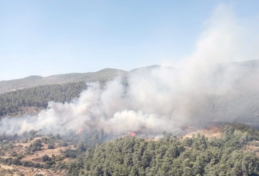 milas orman yangını