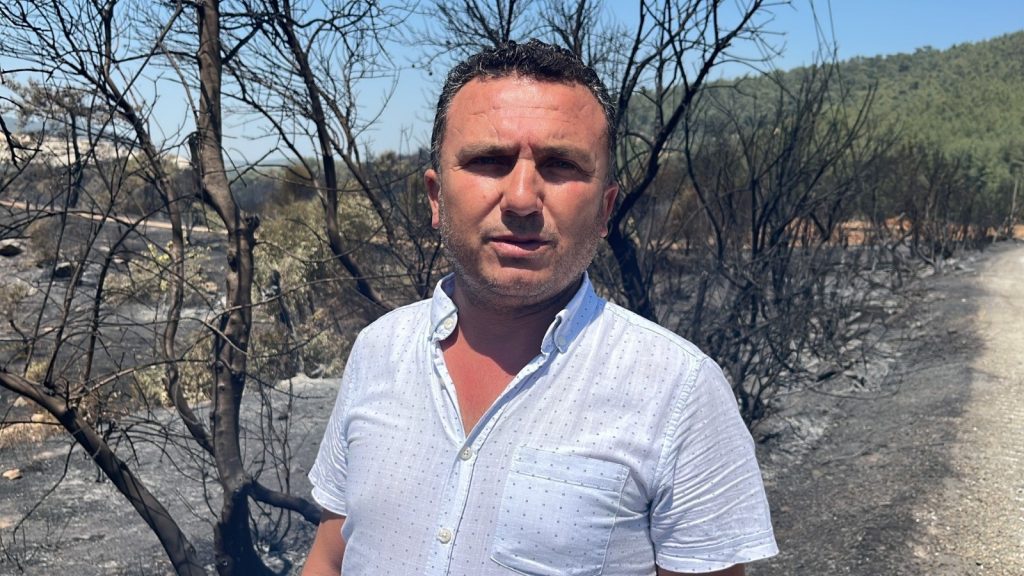 söndürülen Milas orman yangını Milas zeytin ağaçları Sekköy Mahallesi yangını Milas orman yangını