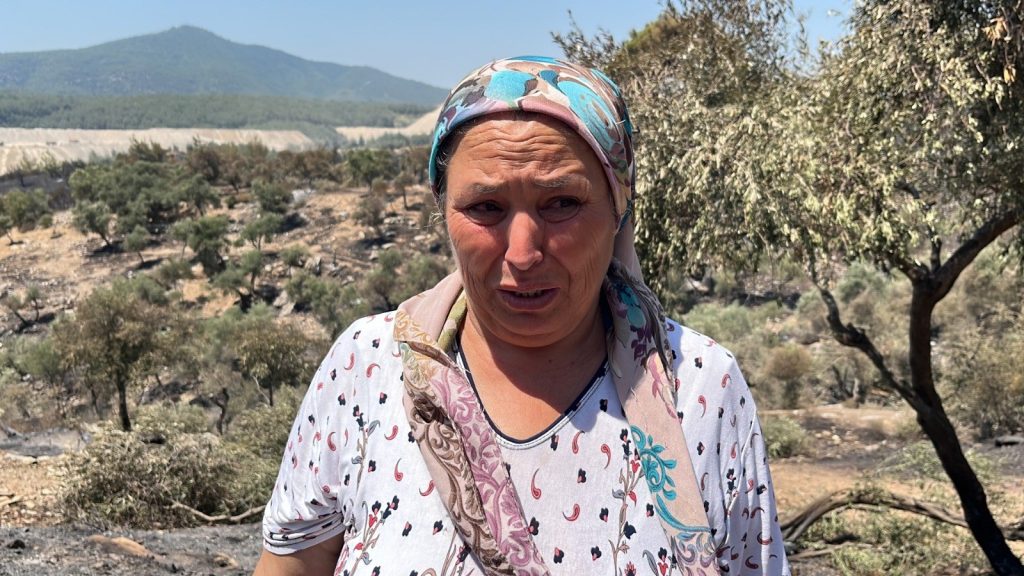 söndürülen Milas orman yangını Milas zeytin ağaçları Sekköy Mahallesi yangını Milas orman yangını