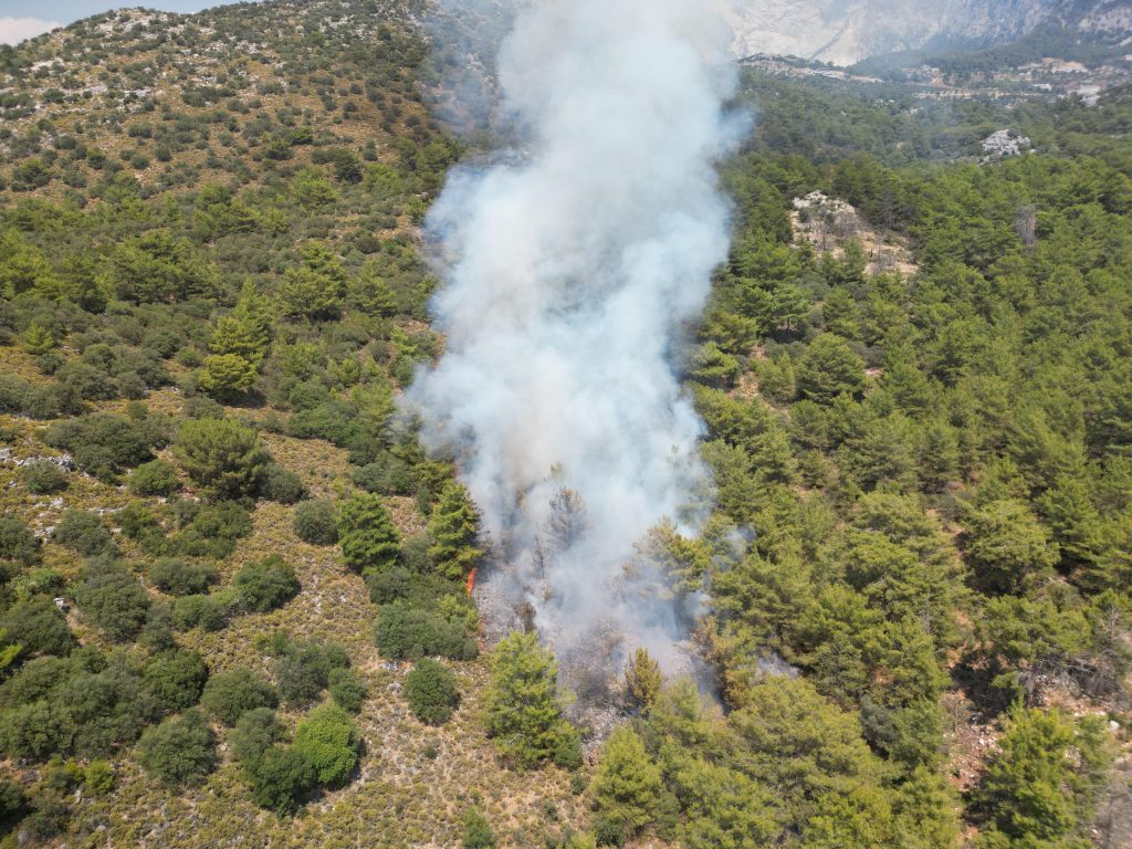 Faralya orman yangını Fethiye orman yangını Fethiye'nin faralya yangın