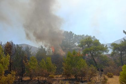 Marmaris orman yangını Marmaris Aksaz Deniz Üs Komutanlığı yangın