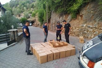marmaris kaçak zeytinyağ kaçak zeytinyağ 672 litre zeytinyağ Marmaris zabıta ekipleri