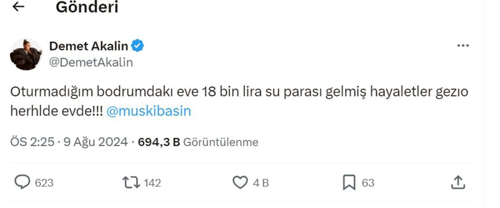 demet akalın muski su faturası açıklama