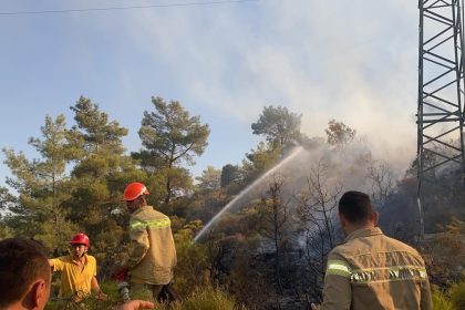 milas yangın milas zirai alan yangını milas toki yangın milasta yangın muğla milas yangın