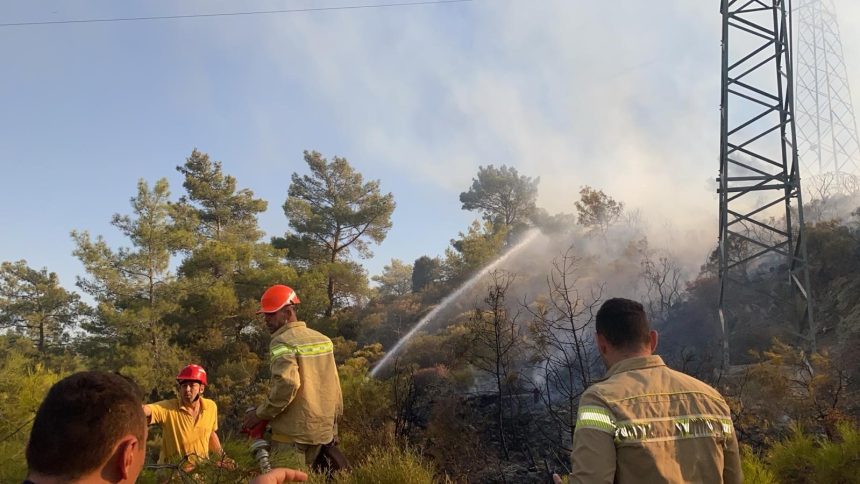 milas yangın milas zirai alan yangını milas toki yangın milasta yangın muğla milas yangın
