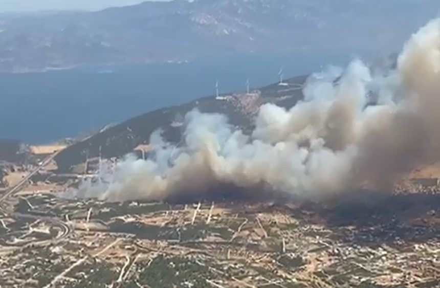 Didim'de yangın, Didim'de yangın son dakika, Didim Akyeniköy, Didim'de yangın mı var, Didim haber.
