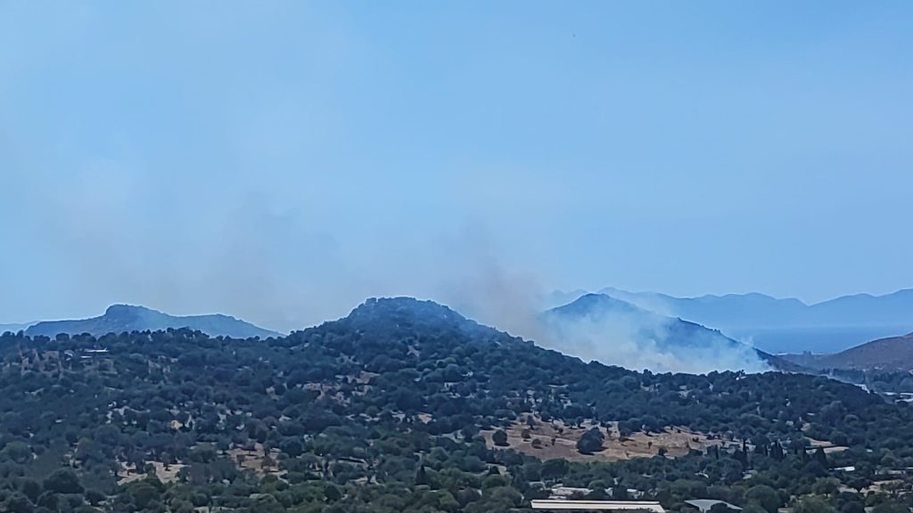 bodrum yangın bodrum makilik yangın bodrum orman yangını bodrum islamhaneleri yangın