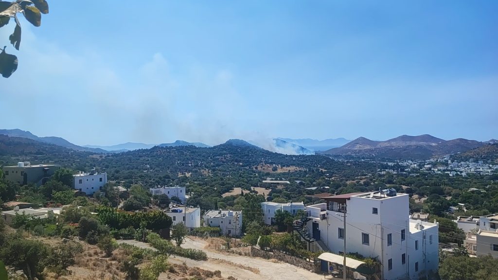bodrum yangın bodrum makilik yangın bodrum orman yangını bodrum islamhaneleri yangın