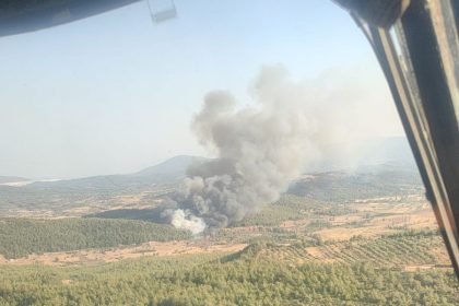 milas yangın milas orman yangını milasta yangın milas son dakika yangın milas son dakika
