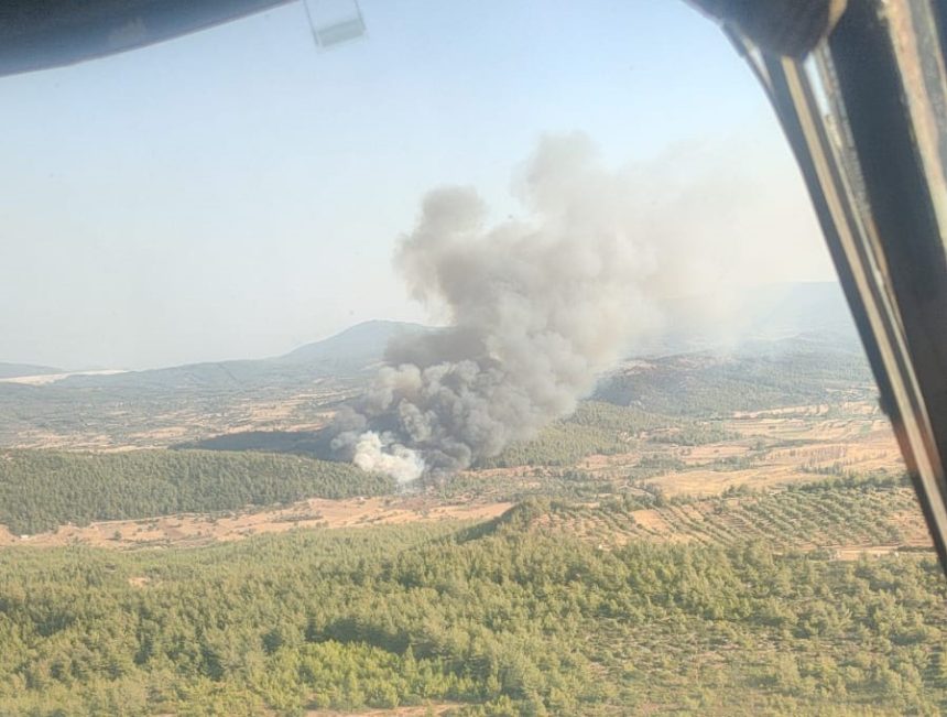 milas yangın milas orman yangını milasta yangın milas son dakika yangın milas son dakika