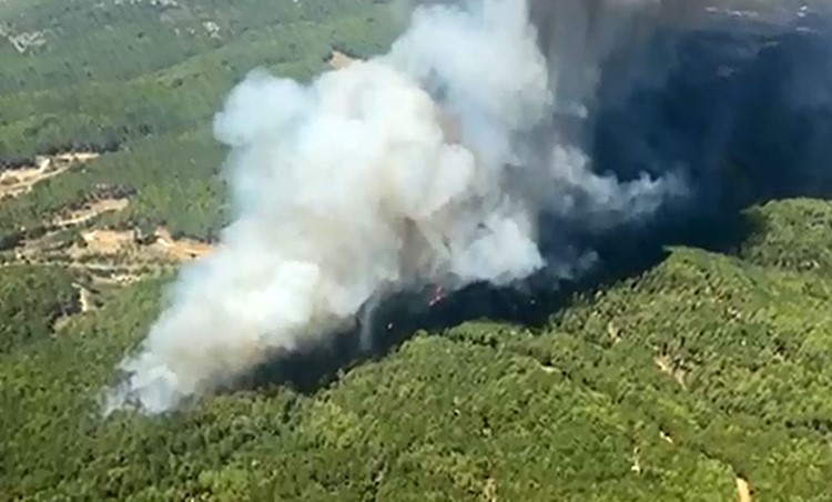 Muğla eş zamanlı yangın Muğla orman yangını orman yangını Yangın