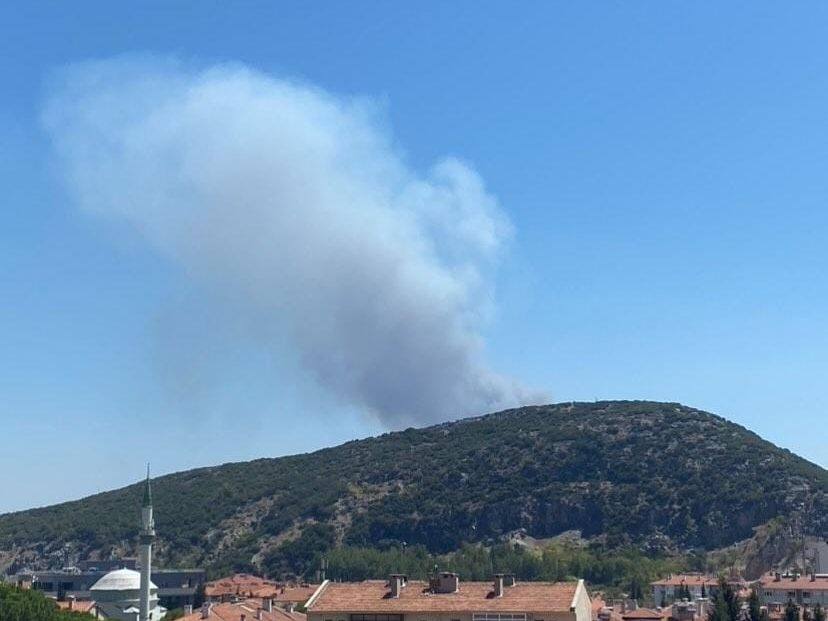 Muğla eş zamanlı yangın Muğla orman yangını orman yangını Yangın