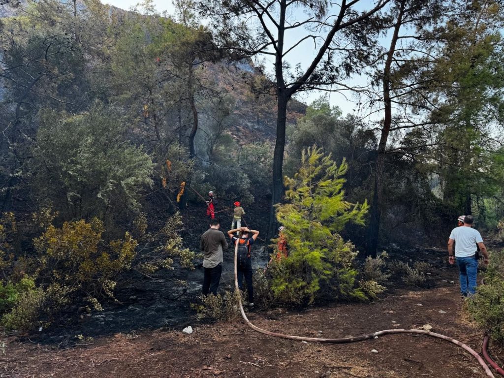datça yangın Kızılbük datça yangın kontrol altına datça orman yangını