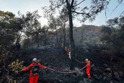 datça yangın Kızılbük datça yangın kontrol altına datça orman yangını