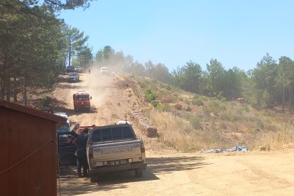 Menteşe orman yangını Muğla orman yangını Yaraş Mahallesi’nde