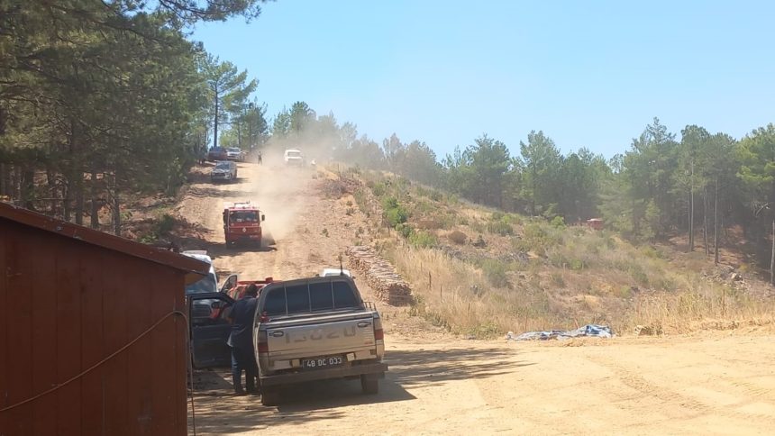 Menteşe orman yangını Muğla orman yangını Yaraş Mahallesi’nde
