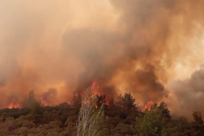 Tarım ve Orman Bakanı İbrahim Yumaklı Tarım ve Orman Bakanı İbrahim Yumaklı muğla yangınları yatağan yangını
