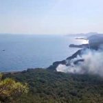 datça yangın muğla yangın Datça orman yangını datça tutuklama