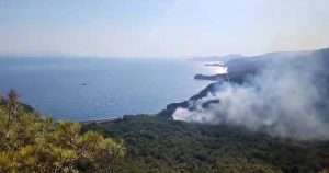datça yangın muğla yangın Datça orman yangını datça tutuklama