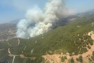 yatağan orman yangını, yangın tutuklu