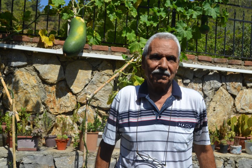 Çin salatalığı Çin salatalığı fethiye fethiye huzurevi fethiye salatalık