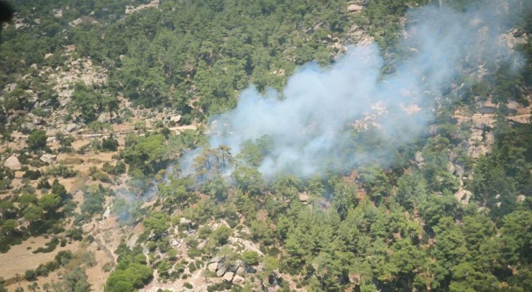 Turgut Mahallesi'nde orman yangını yatağan