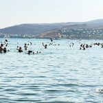 Muğla turist Muğlaya gelen turist sayısı 2024 ilk yedi ayı turizm sayısı