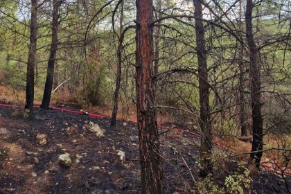 yıldırım kaynaklı yatağan orman yangını